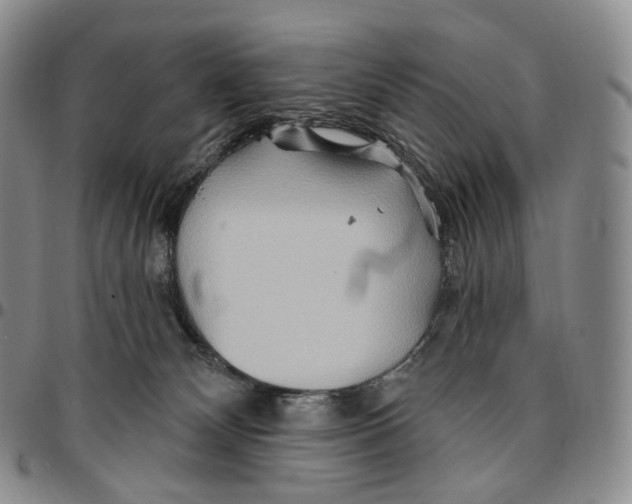 X0000096690132200803041308