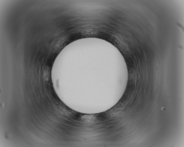 X0000096690133200803041308