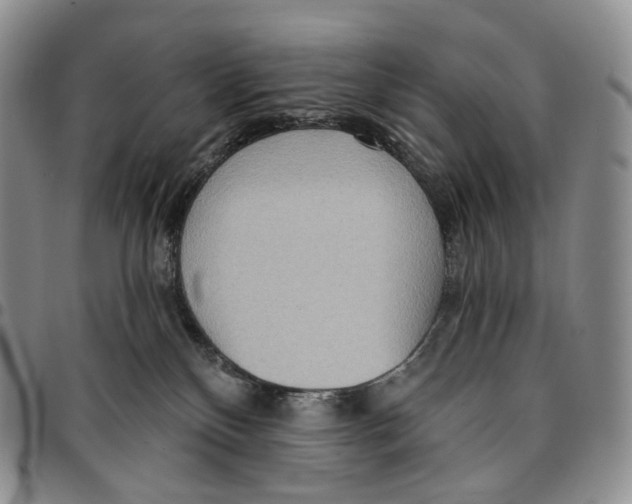 X0000096690136200803041308