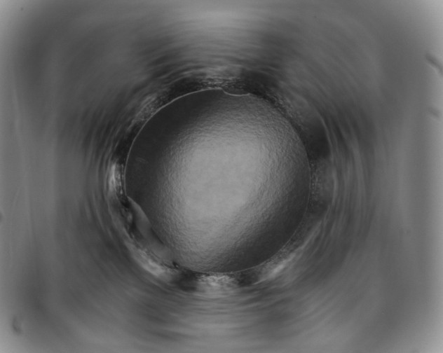 X0000096690137200803041308