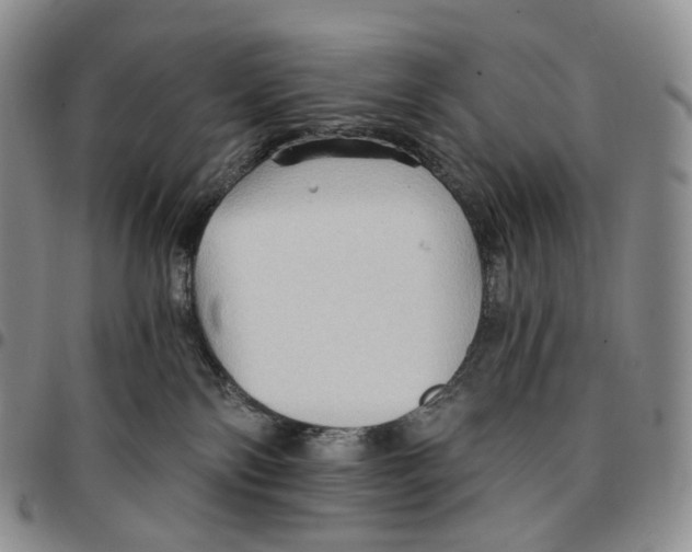 X0000096690138200803041308