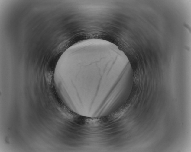 X0000096690139200803041308