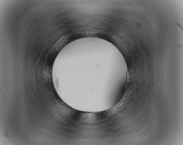 X0000096690140200803041308