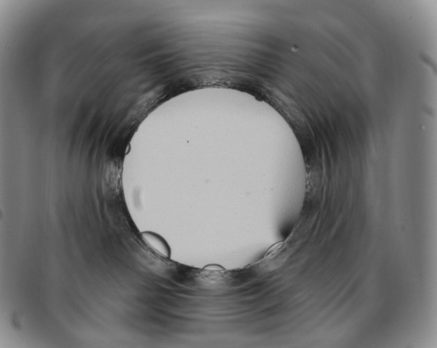 X0000096690142200803041308