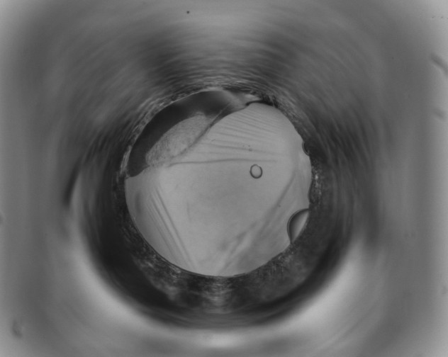 X0000096690143200803041308