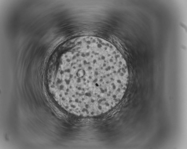 X0000096690145200803041308