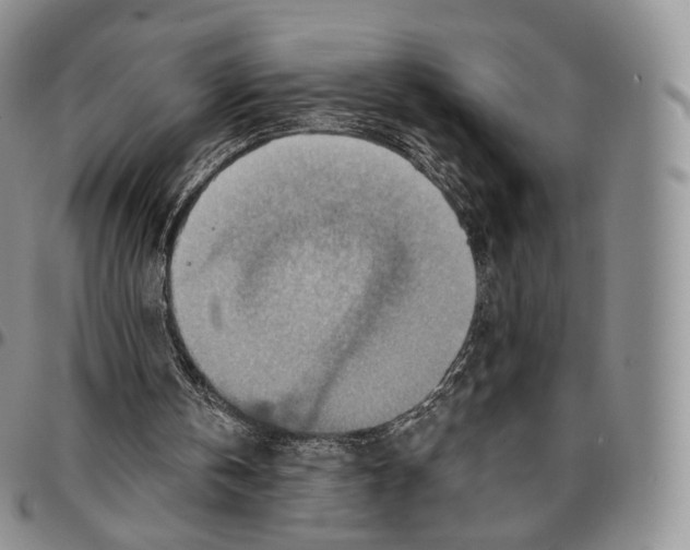 X0000096690146200803041308