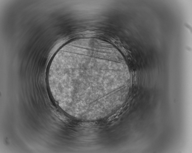 X0000096690147200803041308