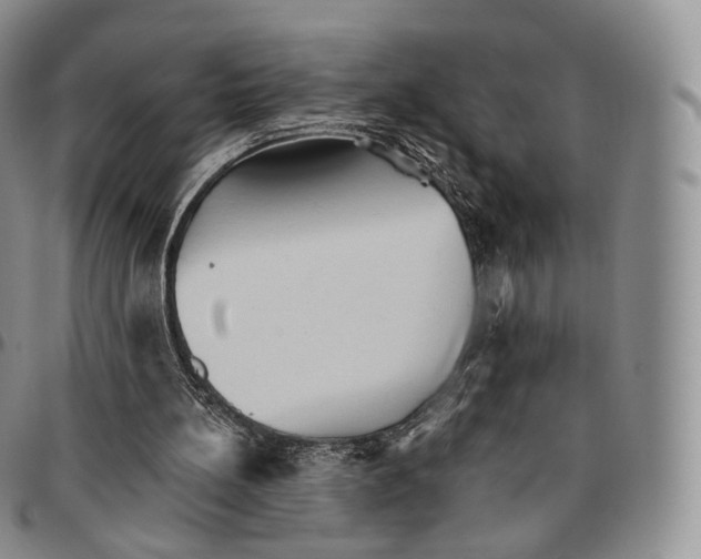 X0000096690148200803041308