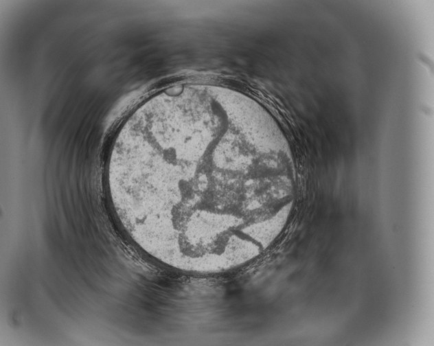 X0000096690149200803041308