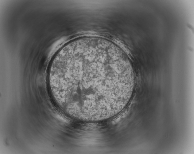 X0000096690151200803041308