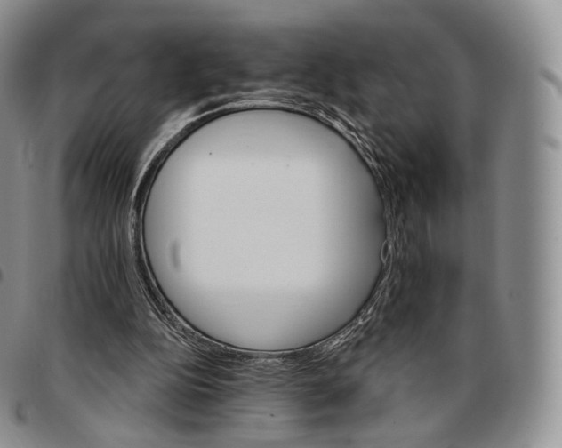 X0000096690152200803041308