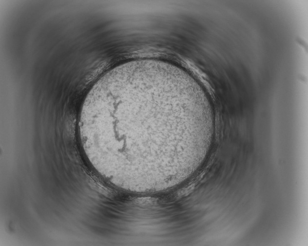 X0000096690153200803041308