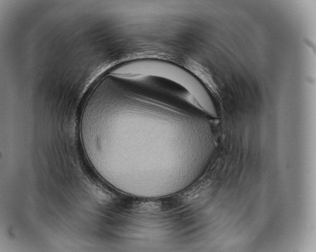 X0000096690156200803041308