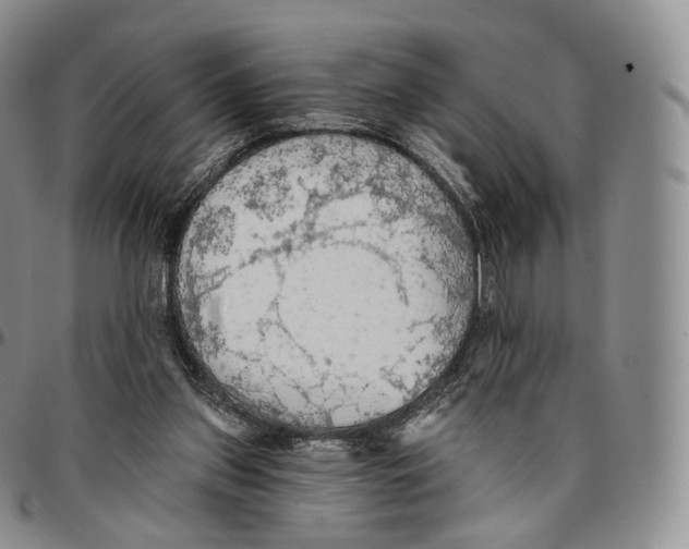 X0000096690157200803041308