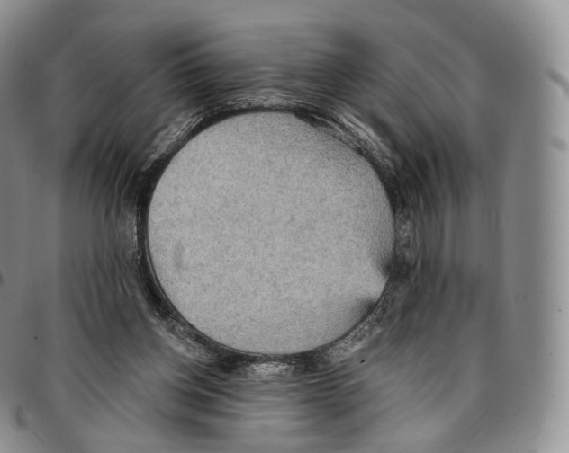 X0000096690158200803041308