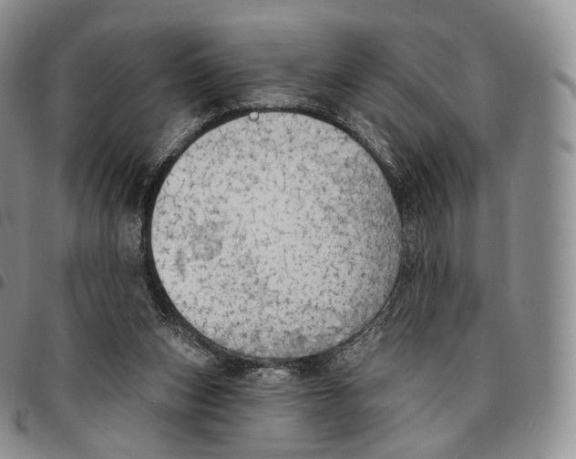 X0000096690159200803041308