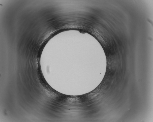 X0000096690160200803041308