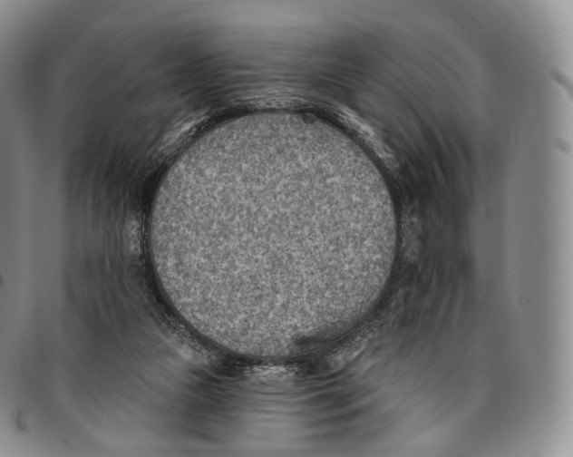 X0000096690161200803041308