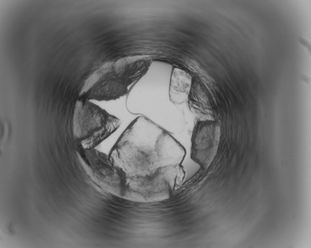 X0000096690165200803041308