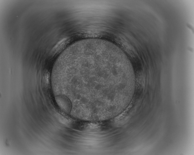 X0000096690166200803041308