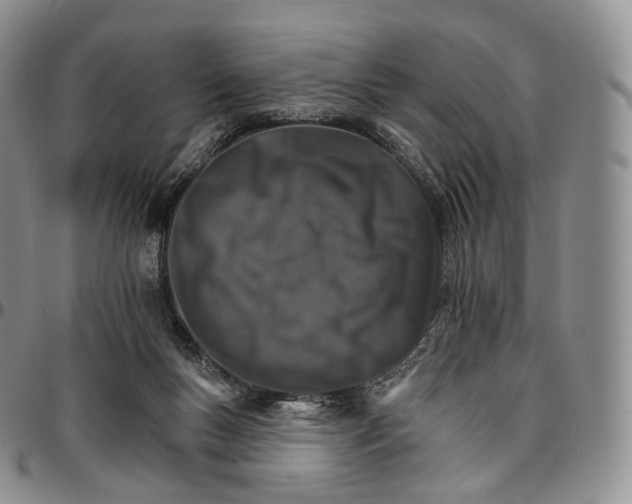 X0000096690167200803041308