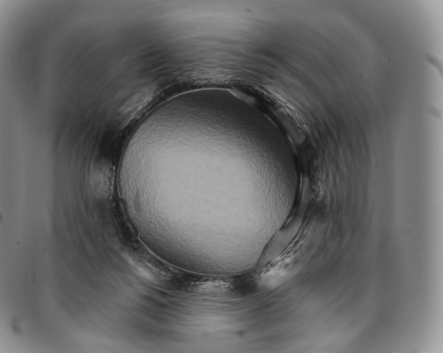 X0000096690168200803041308