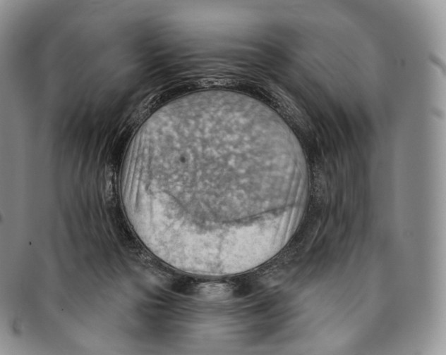 X0000096690169200803041308