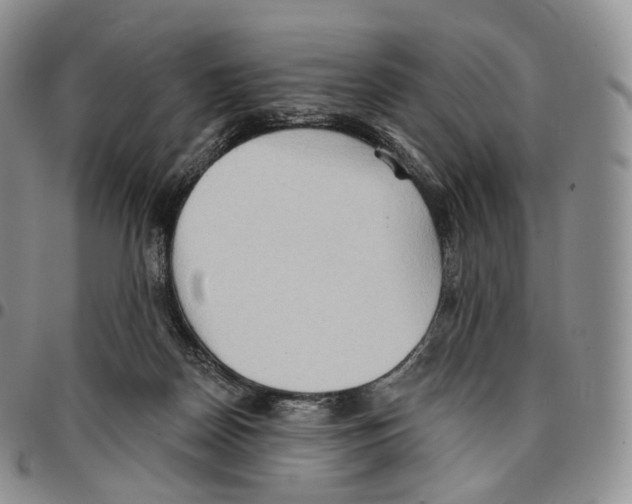 X0000096690170200803041308