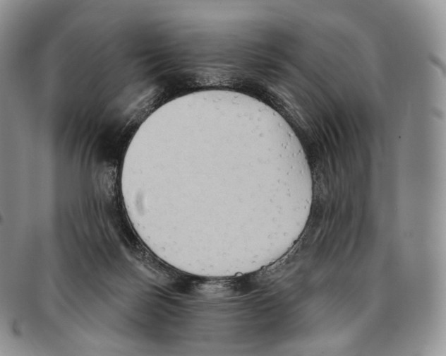 X0000096690171200803041308