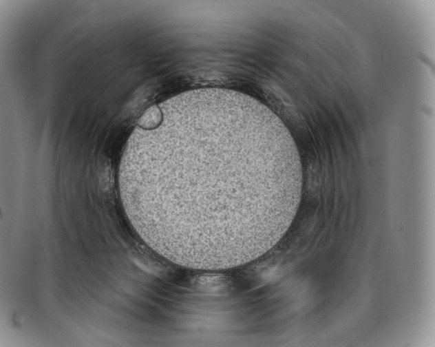 X0000096690173200803041308