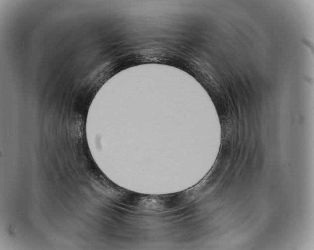 X0000096690174200803041308