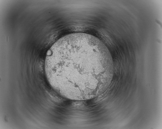 X0000096690175200803041308