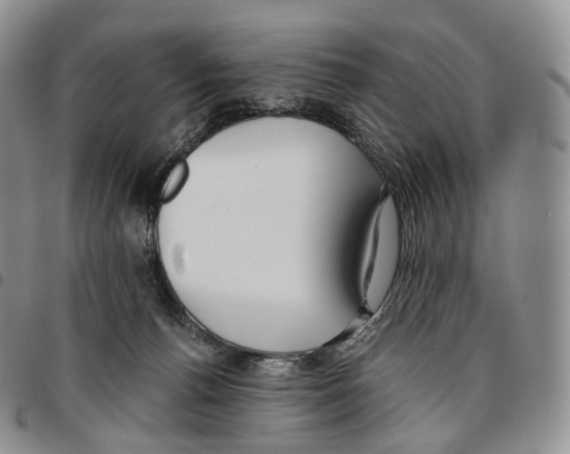 X0000096690176200803041308