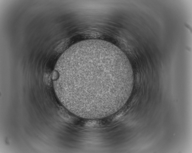 X0000096690177200803041308