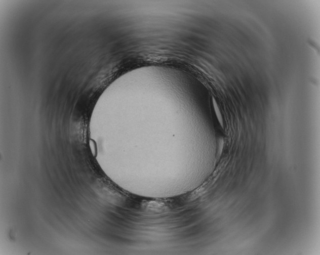 X0000096690180200803041308