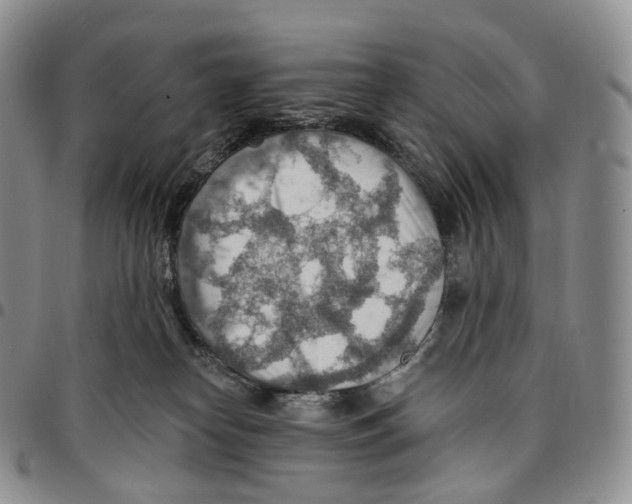 X0000096690182200803041308