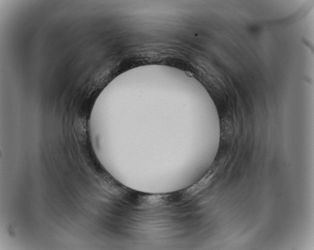 X0000096690184200803041308