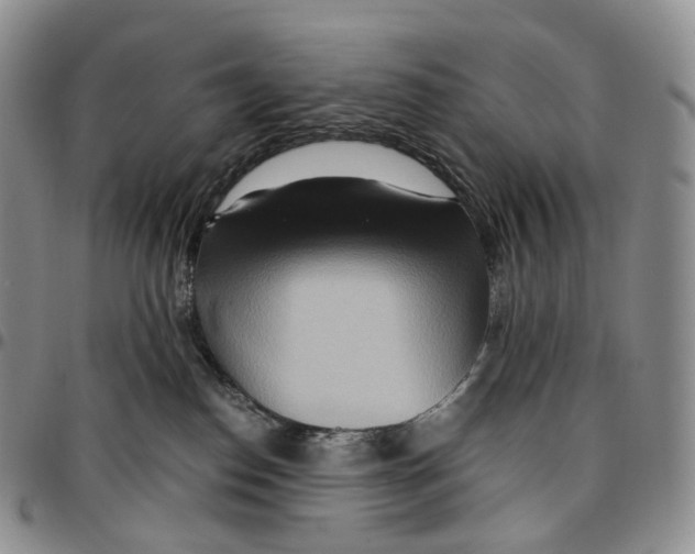 X0000096690186200803041308