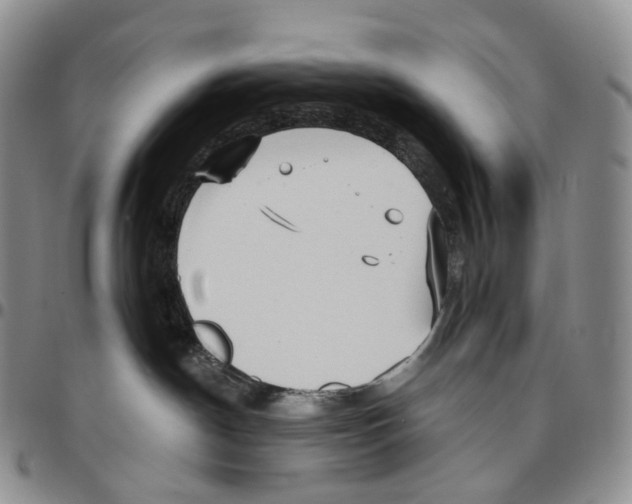 X0000096690190200803041308