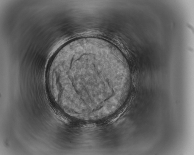 X0000096690196200803041308