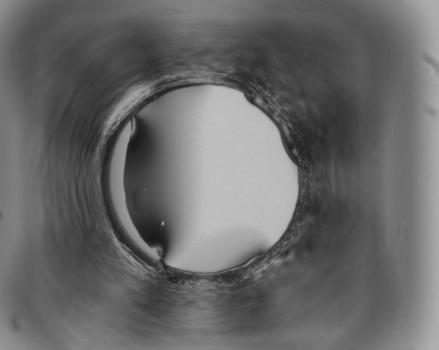 X0000096690197200803041308