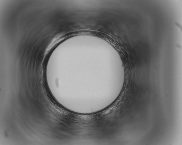 X0000096690198200803041308