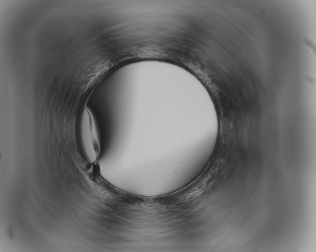 X0000096690201200803041308