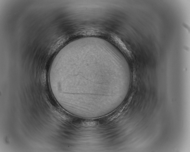 X0000096690202200803041308