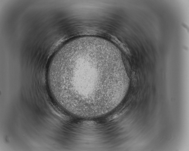 X0000096690203200803041308