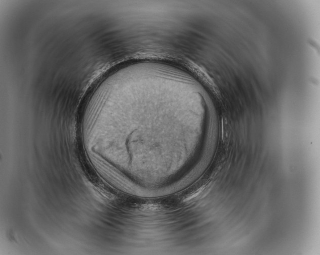 X0000096690204200803041308