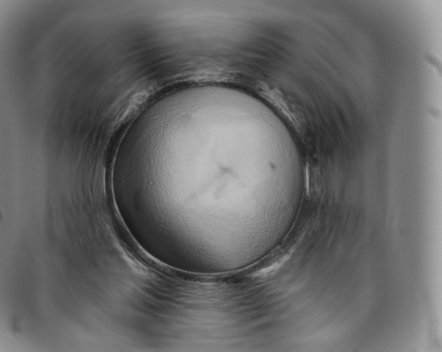 X0000096690205200803041308