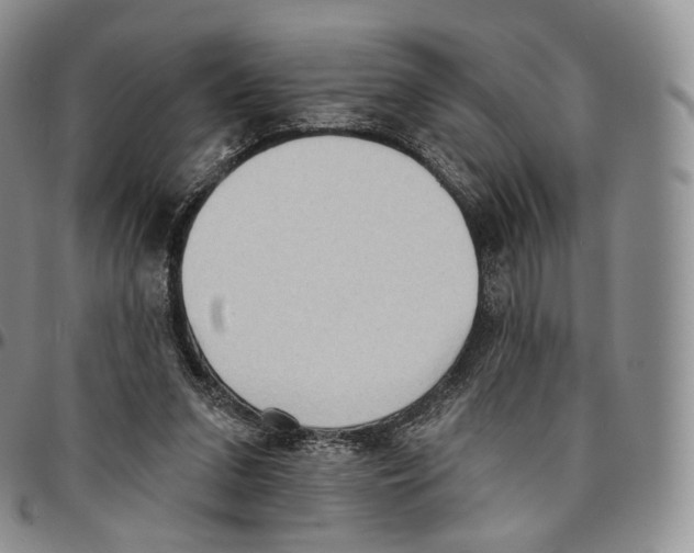 X0000096690207200803041307