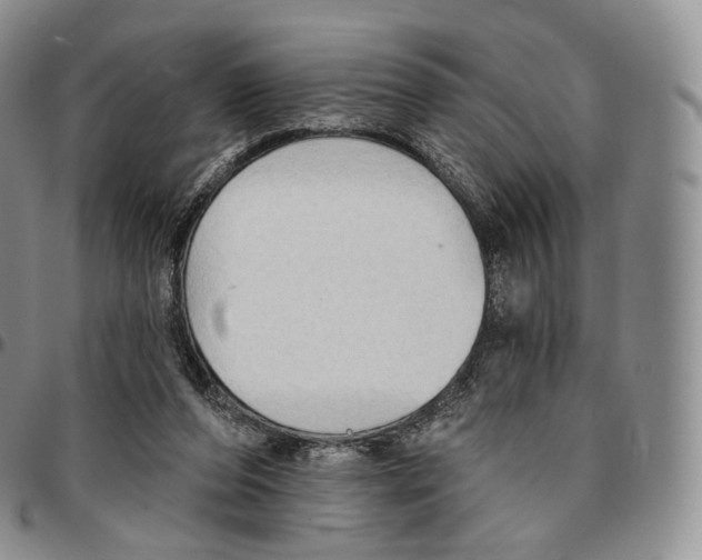 X0000096690208200803041307